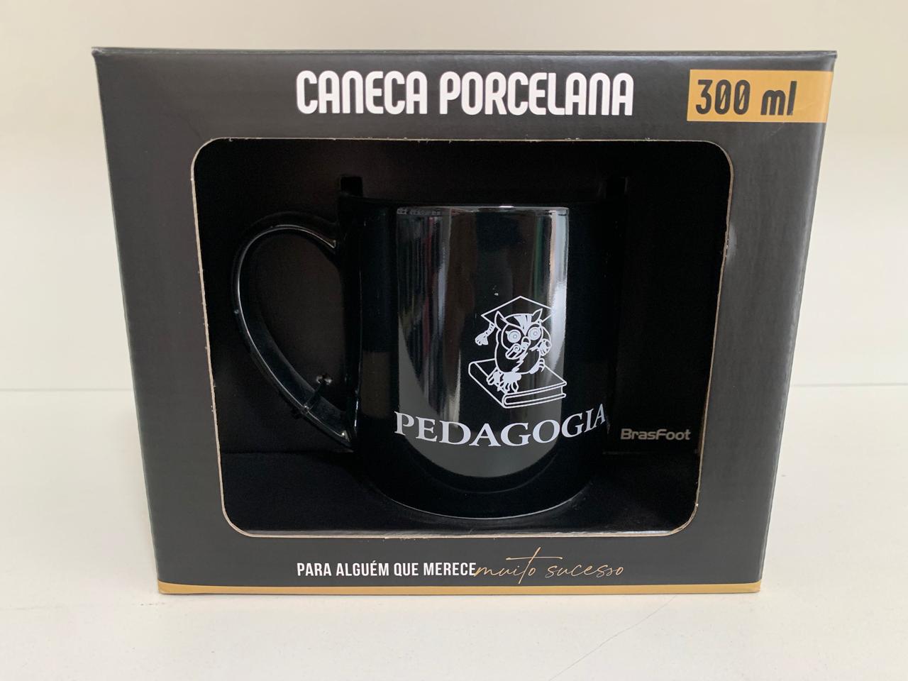 Caneca Profissão Premium Pedagogia
